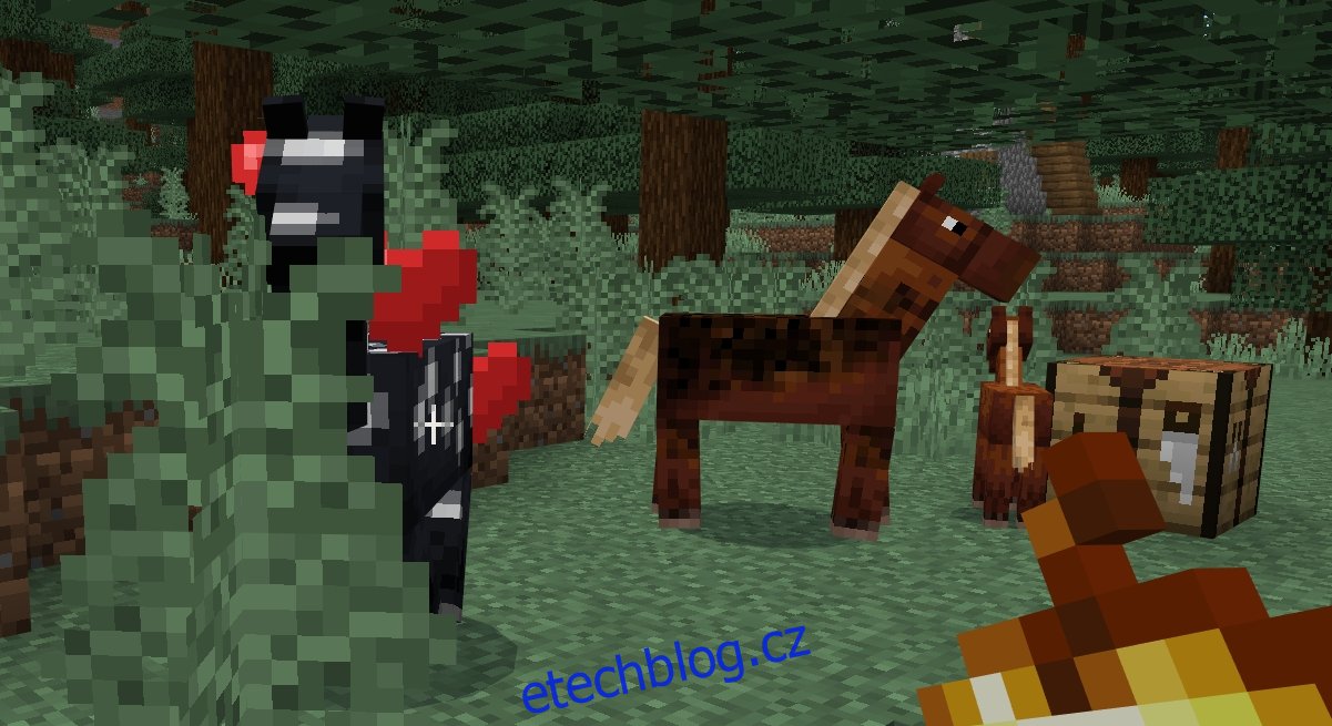 Jak chovat koně v Minecraftu