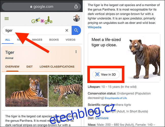 Staňte se tygřím králem s těmito 3D zvířaty a předměty Google