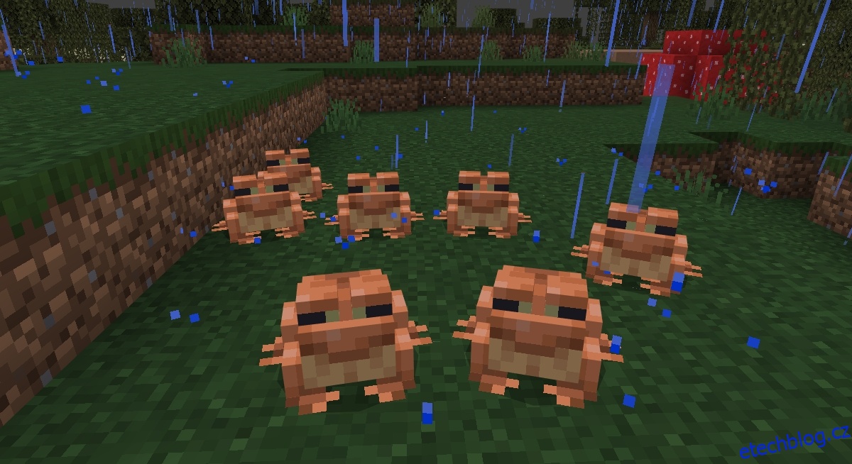 Minecraft Frogs: Jak je najít