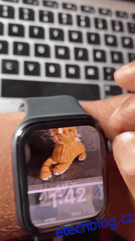 Portréty Nefunguje ciferník na Apple Watch?  Zde je Oprava!