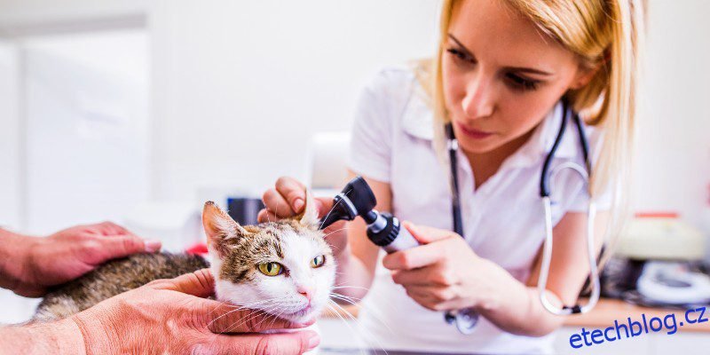 10 nejlepších programů pro správu veterinární praxe [2023]